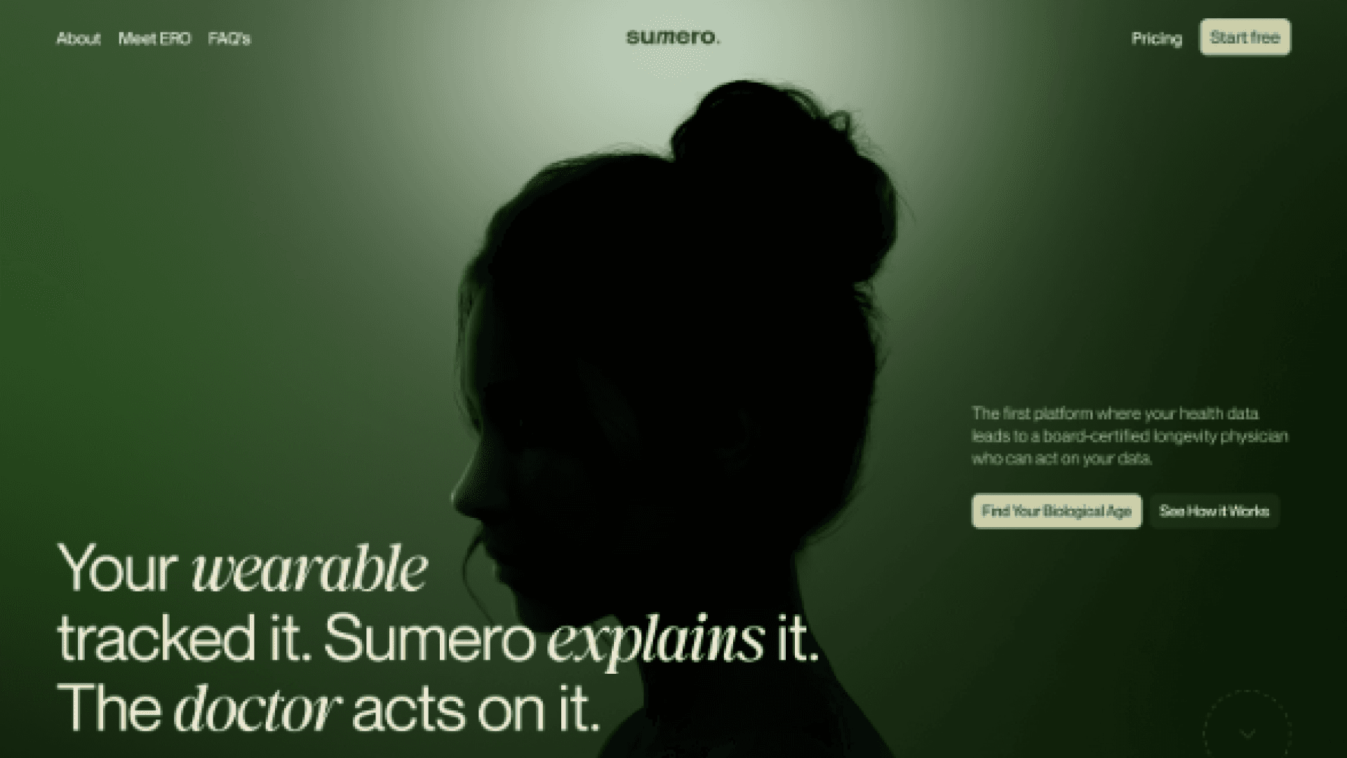 Sumero